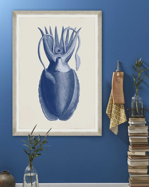 MINDTHEGAP | CUTTLEFISH BLUE BY SEBA | FA12800