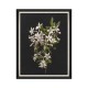 MINDTHEGAP | DELICATE BLOOM Framed Art