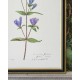 MINDTHEGAP | AQUAFLORA Framed Art