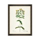 MINDTHEGAP | AQUAFLORA Framed Art