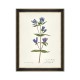 MINDTHEGAP | AQUAFLORA Framed Art