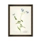 MINDTHEGAP | AQUAFLORA Framed Art