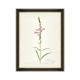 MINDTHEGAP | AQUAFLORA Framed Art