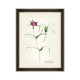 MINDTHEGAP | AQUAFLORA Framed Art