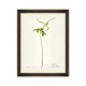 MINDTHEGAP | AQUAFLORA Framed Art