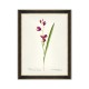 MINDTHEGAP | AQUAFLORA Framed Art