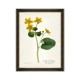 MINDTHEGAP | AQUAFLORA Framed Art