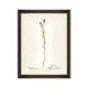 MINDTHEGAP | AQUAFLORA Framed Art