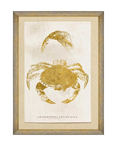 MINDTHEGAP | CARIBBEAN SEA LIFE Framed Art