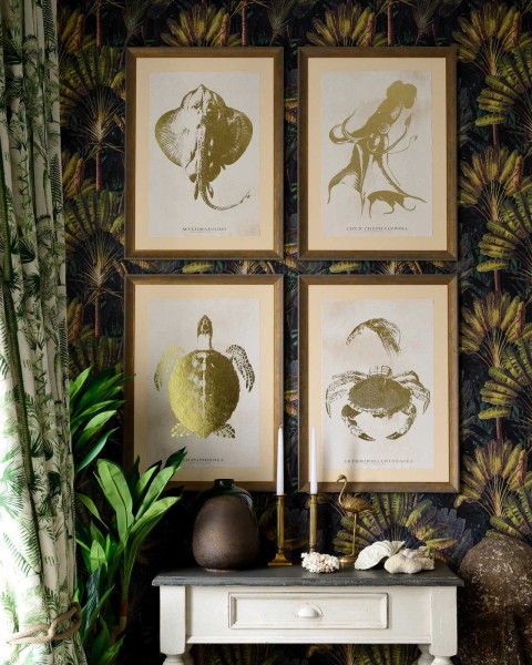 MINDTHEGAP | CARIBBEAN SEA LIFE Framed Art