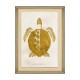 MINDTHEGAP | CARIBBEAN SEA LIFE Framed Art