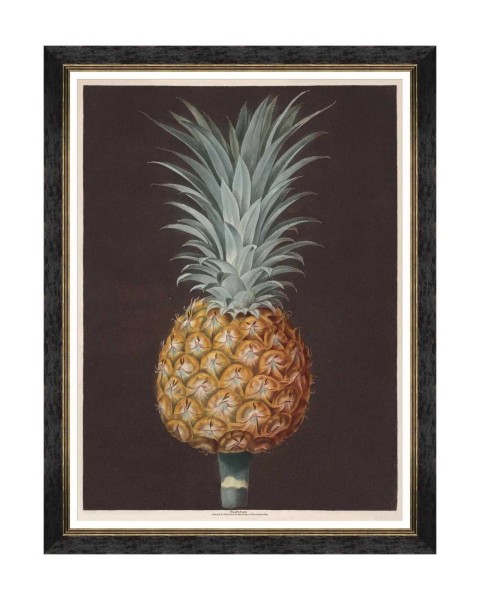 MINDTHEGAP | PINEAPPLES OF ANTIGUA Framed Art