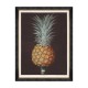 MINDTHEGAP | PINEAPPLES OF ANTIGUA Framed Art
