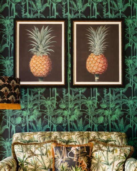 MINDTHEGAP | PINEAPPLES OF ANTIGUA Framed Art