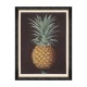 MINDTHEGAP | PINEAPPLES OF ANTIGUA Framed Art
