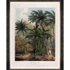 MINDTHEGAP | TREES OF KRAKATOA Framed Art