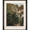 MINDTHEGAP | TREES OF KRAKATOA Framed Art