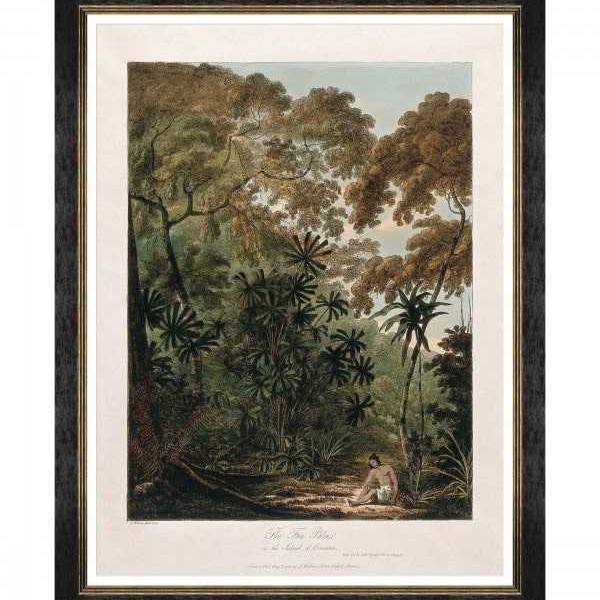 MINDTHEGAP | TREES OF KRAKATOA Framed Art