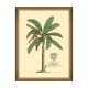 MINDTHEGAP | MUSSA AND PALMA Framed Art