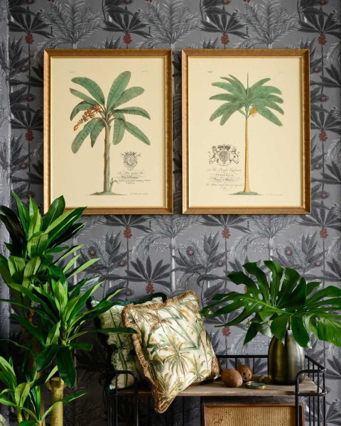 MINDTHEGAP | MUSSA AND PALMA Framed Art