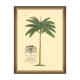 MINDTHEGAP | MUSSA AND PALMA Framed Art
