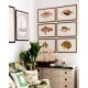 MINDTHEGAP | FISHES OF HAWAII Framed Art