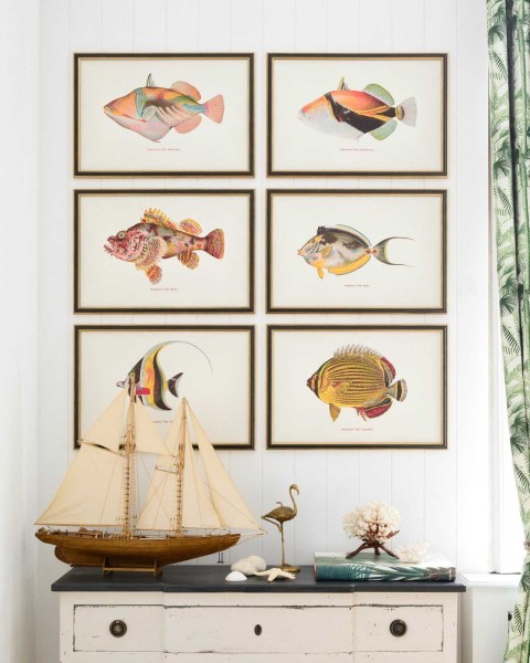 MINDTHEGAP | FISHES OF HAWAII Framed Art