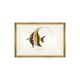 MINDTHEGAP | FISHES OF HAWAII Framed Art