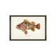 MINDTHEGAP | FISHES OF HAWAII Framed Art