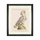 MINDTHEGAP | PARROTS OF BRAZIL Framed Art