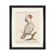 MINDTHEGAP | PARROTS OF BRAZIL Framed Art