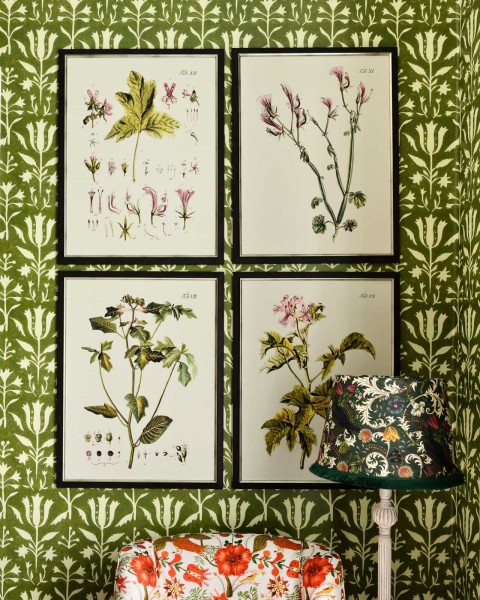 MINDTHEGAP | BOTANICAL Framed Art
