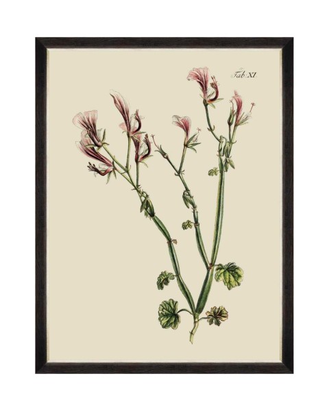 MINDTHEGAP | BOTANICAL Framed Art