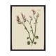 MINDTHEGAP | BOTANICAL Framed Art