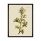 MINDTHEGAP | BOTANICAL Framed Art