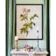 MINDTHEGAP | BOTANICAL Framed Art