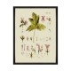 MINDTHEGAP | BOTANICAL Framed Art