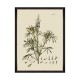 MINDTHEGAP | BOTANICAL Framed Art