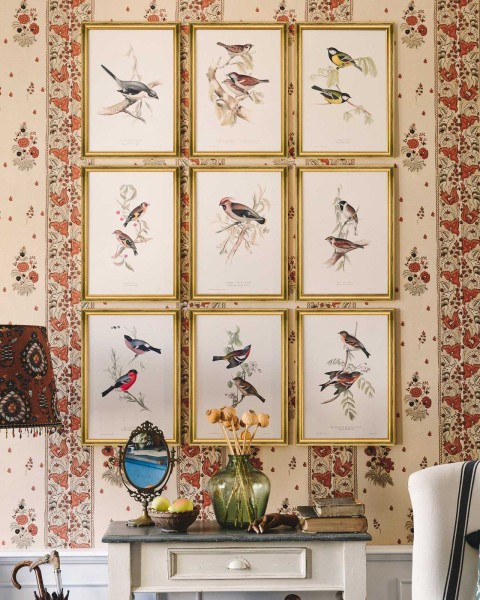MINDTHEGAP | BIRDS Framed Art
