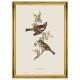 MINDTHEGAP | BIRDS Framed Art