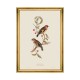 MINDTHEGAP | BIRDS Framed Art