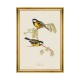 MINDTHEGAP | BIRDS Framed Art