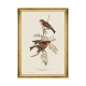 MINDTHEGAP | BIRDS Framed Art