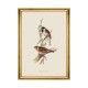 MINDTHEGAP | BIRDS Framed Art