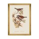MINDTHEGAP | BIRDS Framed Art