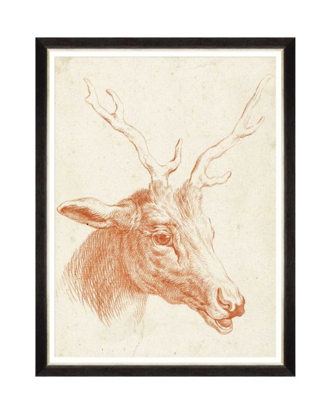 MINDTHEGAP | DEER HEAD FA13240