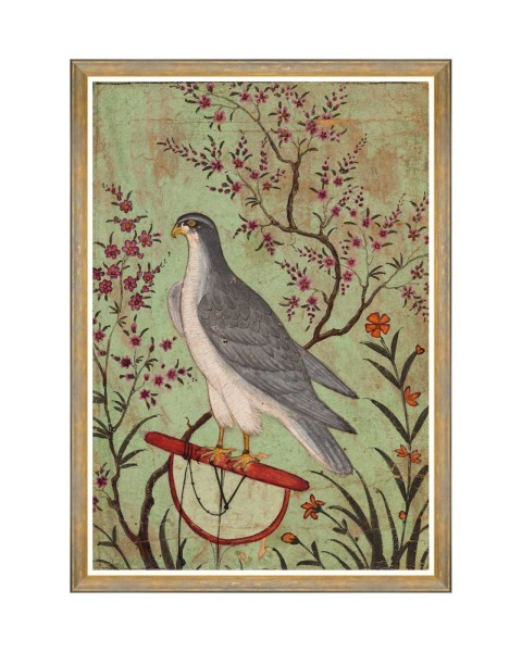 MINDTHEGAP | FALCON ON A PERCH | FA13241