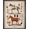 MINDTHEGAP | THE RIDING EQUIPMENT Framed Art