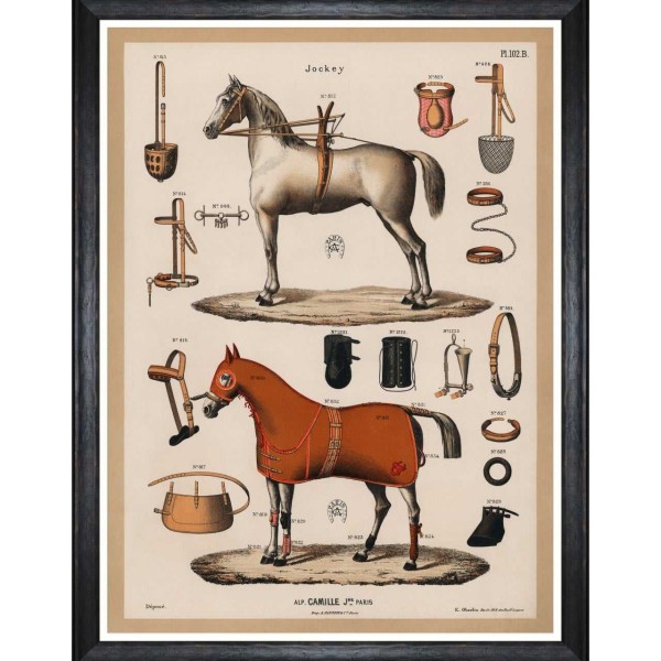 MINDTHEGAP | THE RIDING EQUIPMENT Framed Art
