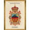 MINDTHEGAP | TRANSYLVANIA SAXON CREST Framed Art